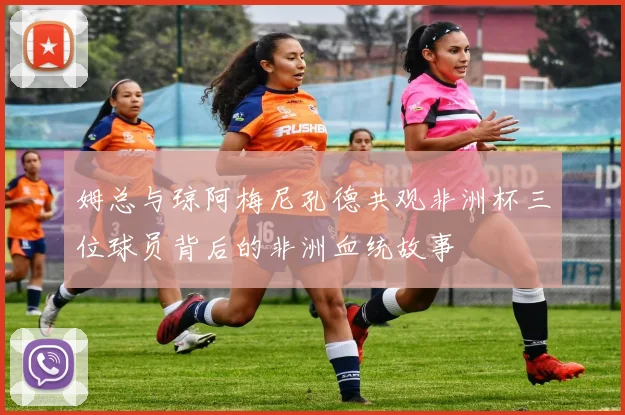 姆总与琼阿梅尼孔德共观非洲杯三位球员背后的非洲血统故事