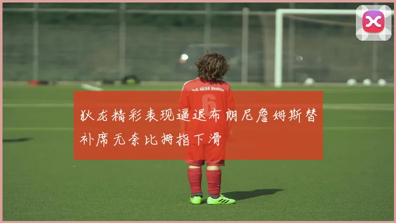 狄龙精彩表现逼退布朗尼詹姆斯替补席无奈比拇指下滑